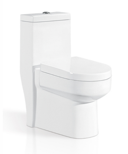 One Piece Toilet With Soft-Closing Seat & Dual Flush System