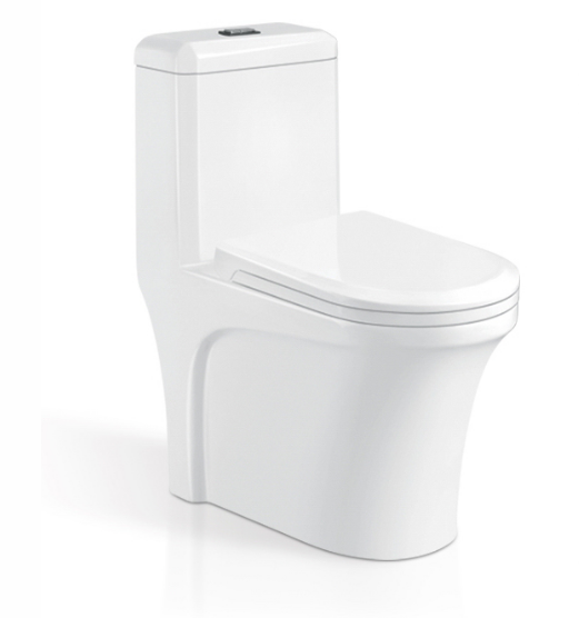 One Piece Toilet With Soft-Closing Seat & Dual Flush System