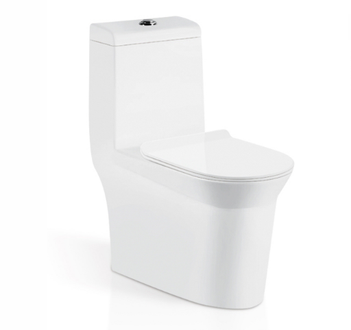 One Piece Toilet With Soft-Closing Seat & Dual Flush System