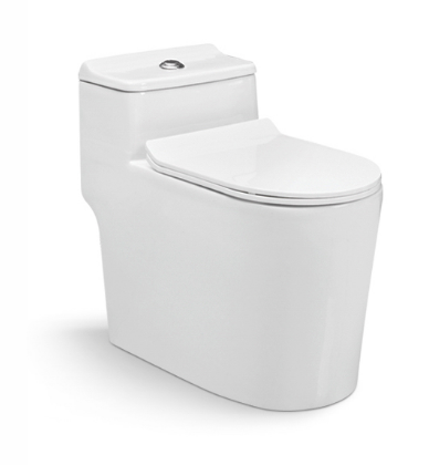 One Piece Toilet With Soft-Closing Seat & Dual Flush System