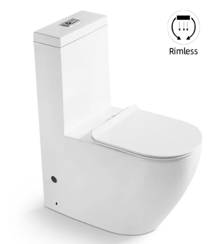 Washdown One Piece Toilet