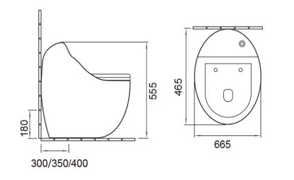 Washdown / Siphonic one-piece toilet