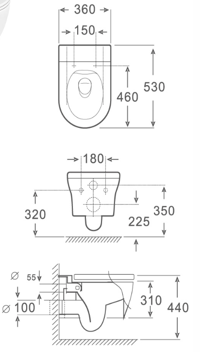 Eddy Double Hole Siphonic Wall Hung Closet