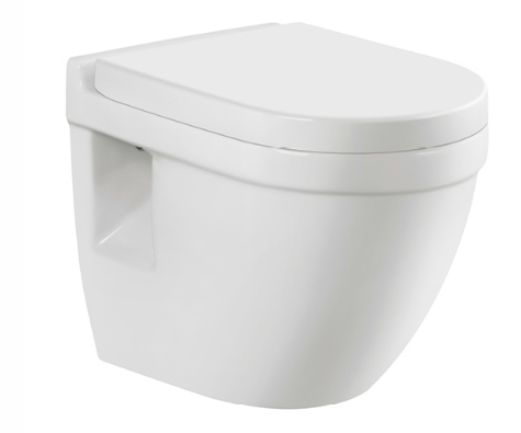 Washdown Wall Hung Toilet