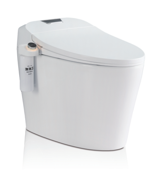 SALLY Smart Toilet