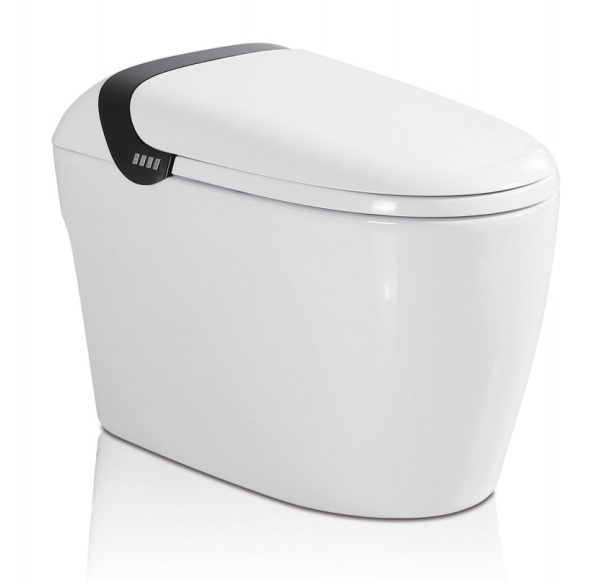 SALLY Smart Toilet