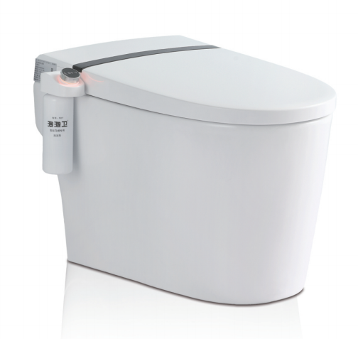 SALLY Smart Toilet