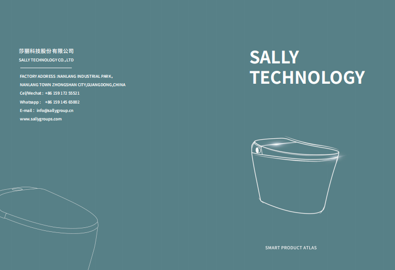 Sally Smart Toilet