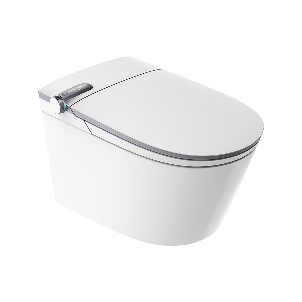 3.HEGII Smart Toilet.jpg