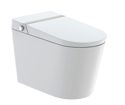 10.DongPeng Smart Toilet.jpg